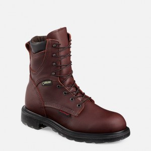 Pánské Pracovní Boty Red Wing SuperSole® 2.0 | 12865-VLDQ