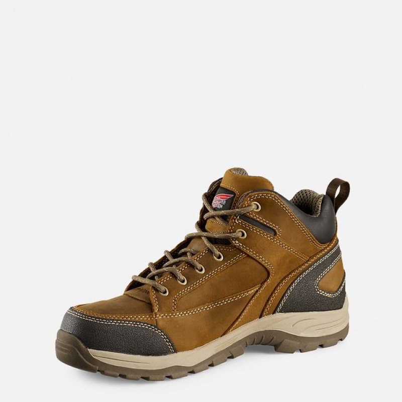 Pánské Pracovní Boty Red Wing TruHiker | 47618-OIMD